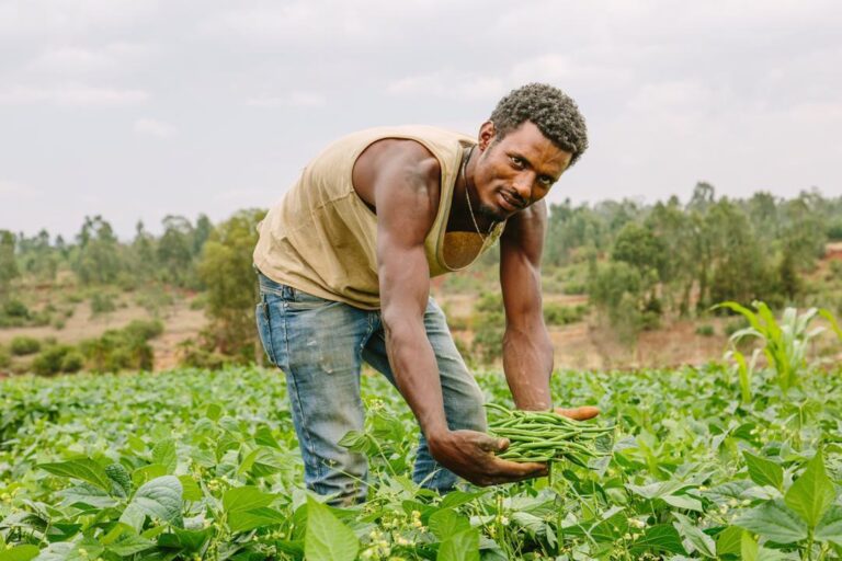 Agriculture | Ethiopian Investment Commission